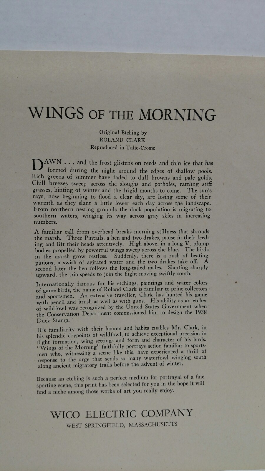 Image 1 of Wings of the Morning