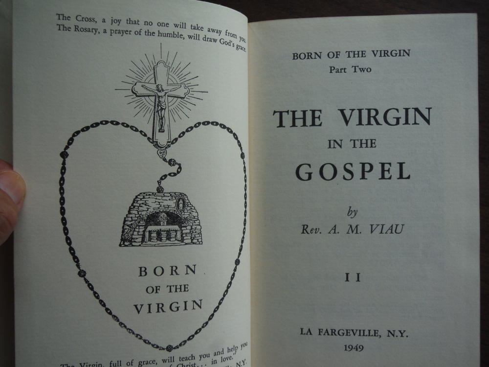 Image 1 of The Virgin in the Gospel (Born of the Virgin)
