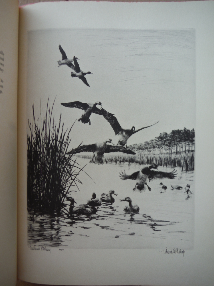Image 2 of Bishop's Birds: Etchings of water-fowl and upland game birds