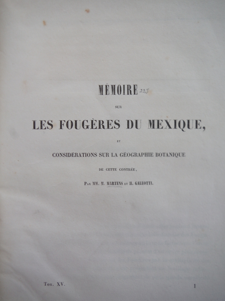 Image 1 of Memoire sur les Fougeres du Mexique, Et Considerations sur la Geographie Botaniq