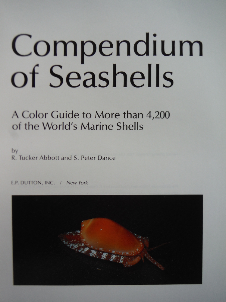 Image 2 of Compendium of Seashells: A Full-Color Guide to More than 4,200 of the World's Ma