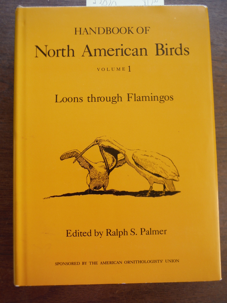 Image 0 of HANDBOOK OF NORTH AMERICAN BIRDS:VOL.1,LOONS THROUGH FLAMINGOS