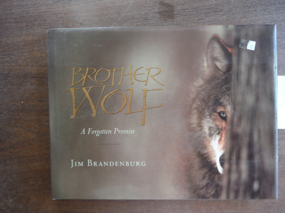 Image 0 of Brother Wolf: A Forgotten Promise
