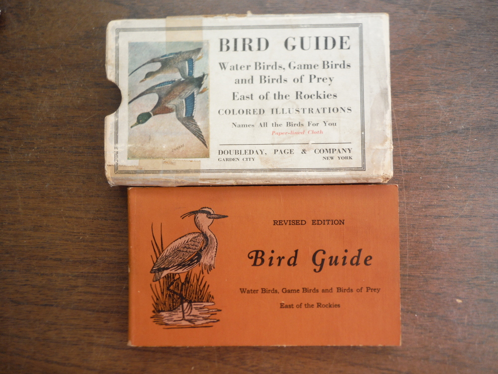 Image 0 of Bird Guide Water Birds, Game Birds and Birds of Prey East of the Rockies - Revis