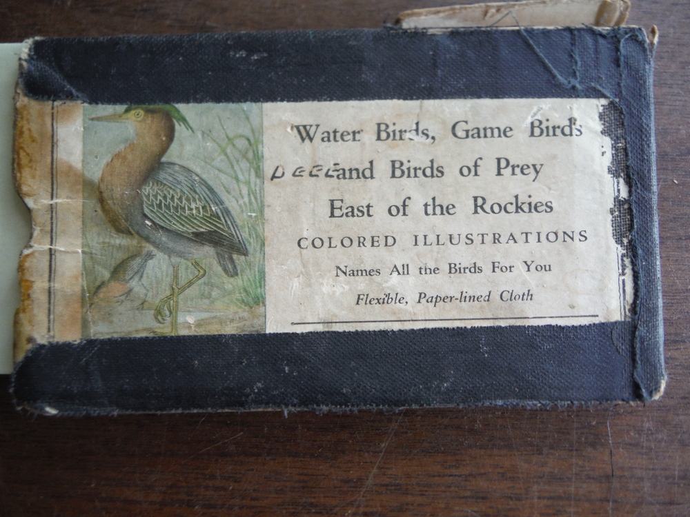 Bird Guide Water Birds, Game Birds, and Birds of Prey