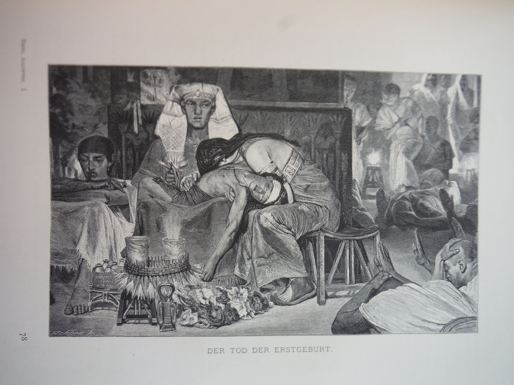 Der Tod der Erstgeburtby Sir Lawrence  Alma-Tadema