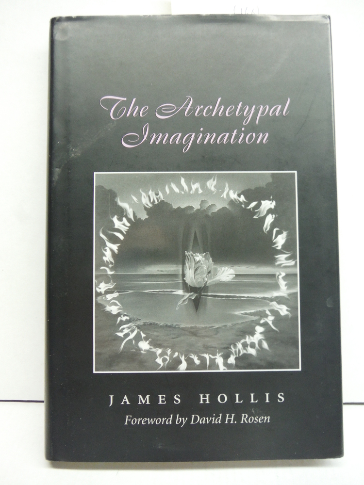 Image 0 of The Archetypal Imagination (CAROLYN AND ERNEST FAY SERIES IN ANALYTICAL PSYCHOLO