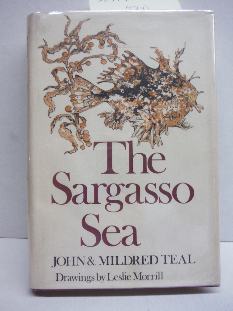 Image 0 of The Sargasso Sea