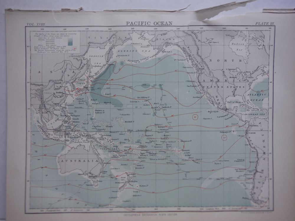Image 2 of Antique Maps of Pacific from Encyclopaedia Britannica,  Ninth Edition Vol. XVIII