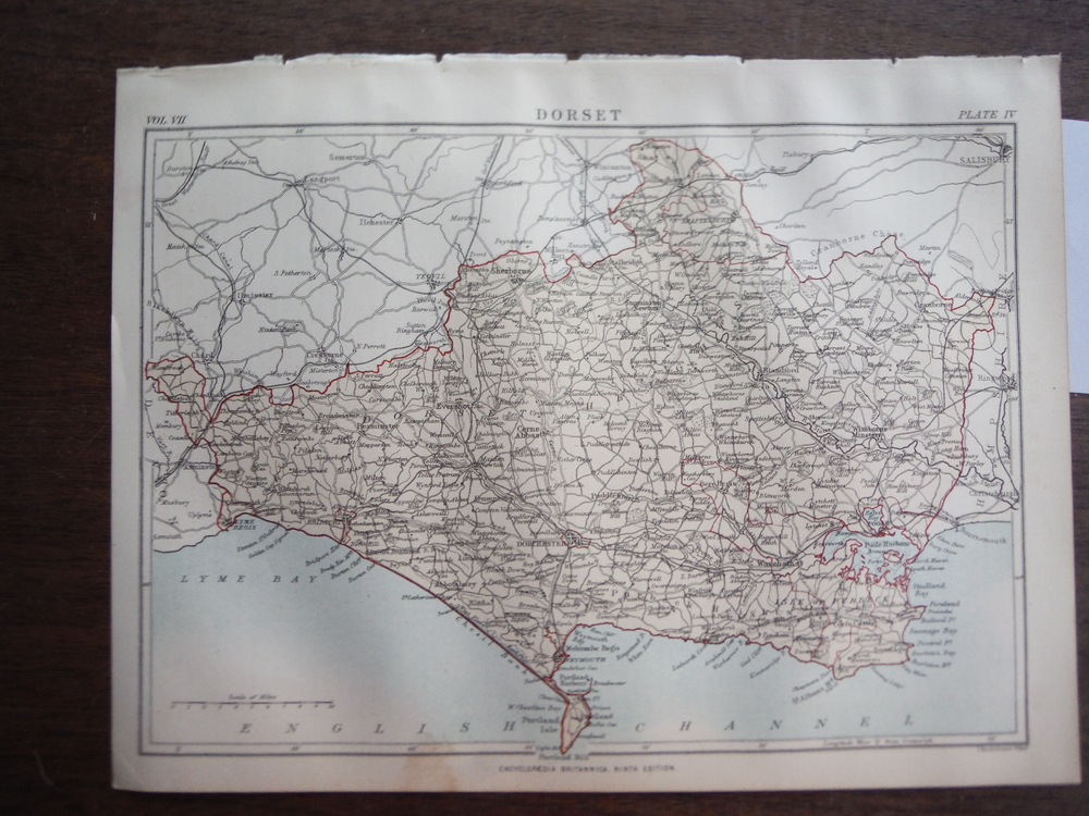 Antique Map of Dorset from Encyclopaedia Britannica,  Ninth Edition Vol. VII Pla
