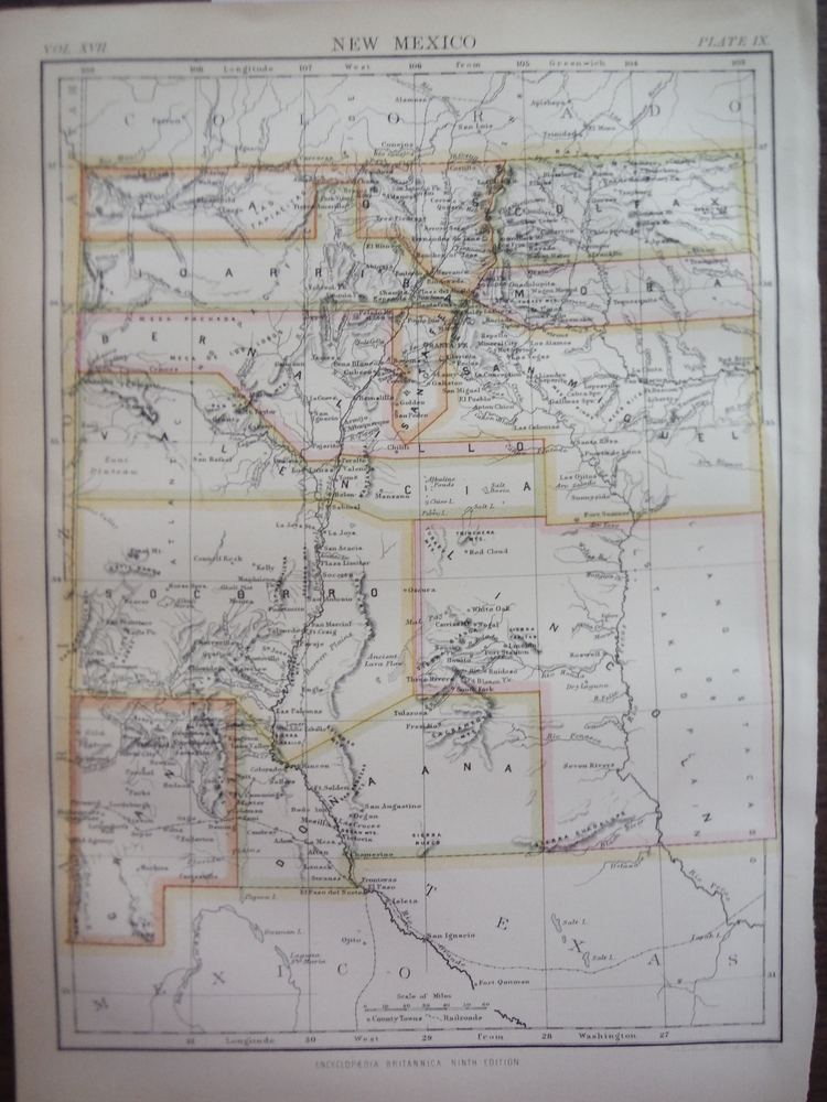 Antique Map of New Mexico from Encyclopaedia Britannica,  Ninth Edition Vol. XVI