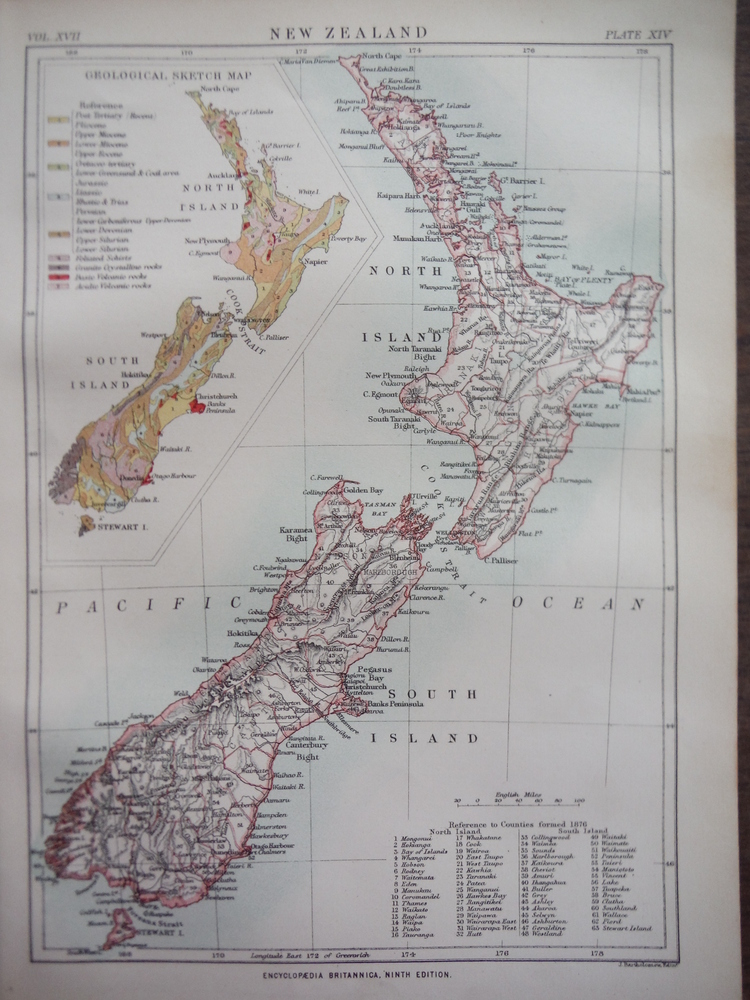 Antique Map of New Zealand and Bedford  from Encyclopaedia Britannica,  Ninth Ed