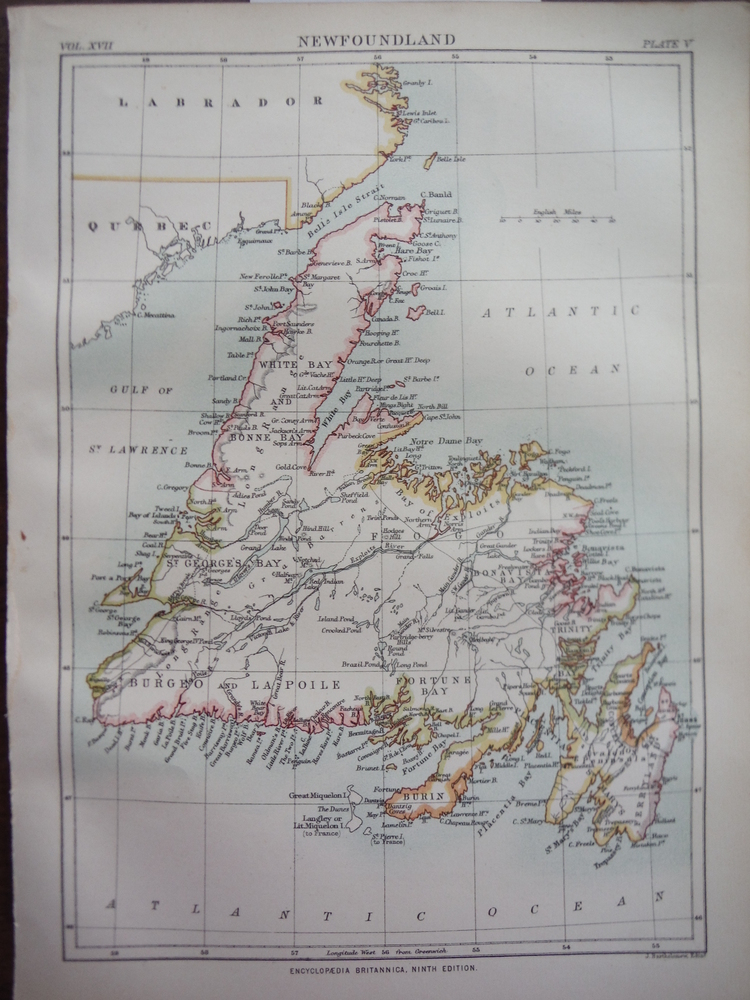Antique Map of Newfoundland  from Encyclopaedia Britannica,  Ninth Edition Vol. 