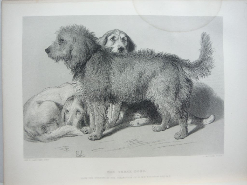 Charles Mottram  Antique Steel Engraving  The Three Dogsr after a Painting by 
