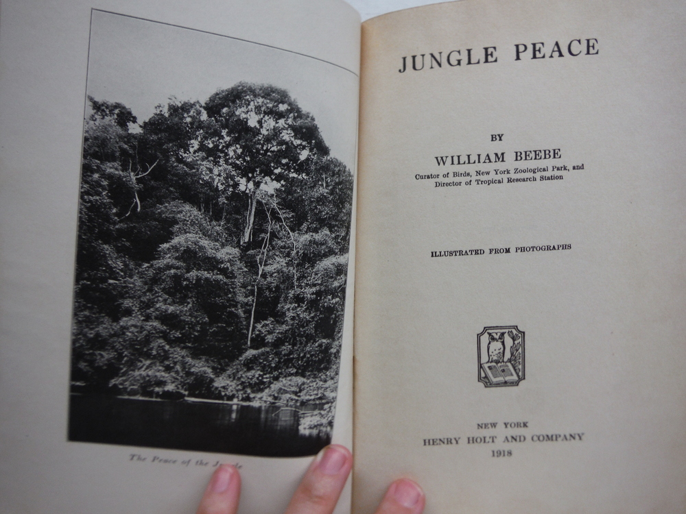 Image 1 of Jungle Peace