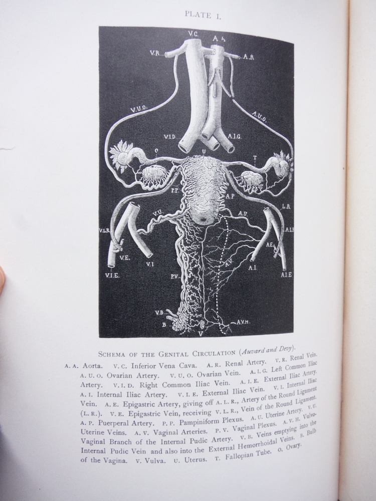 Image 2 of A Text-Book of Gynecology