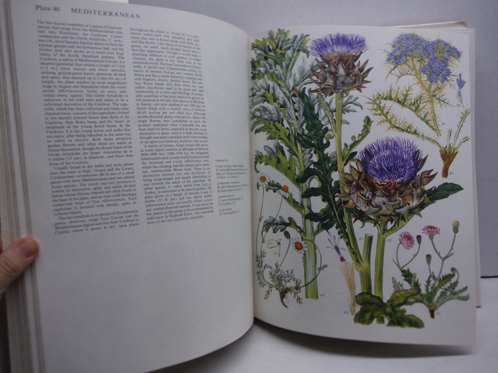Image 2 of Wild Flowers of the World: A Thousand Beautiful Plants Painted by Barbara Everar