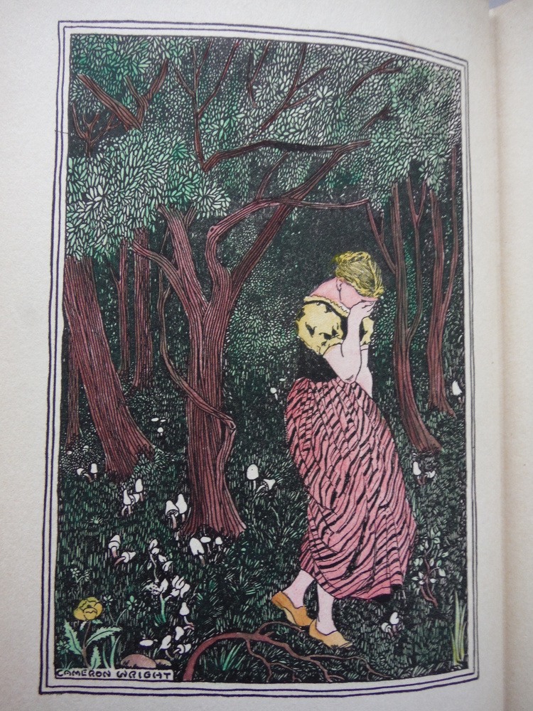 Image 2 of Sanine, a Russian Love Novel. Translated into English by Percy Pinkerton