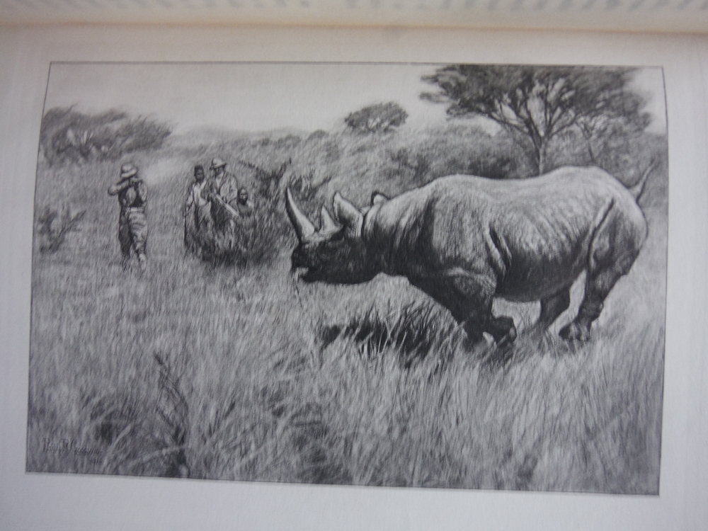 Image 2 of African Game Trails: An Account of the African Wanderings of an American Hunter-