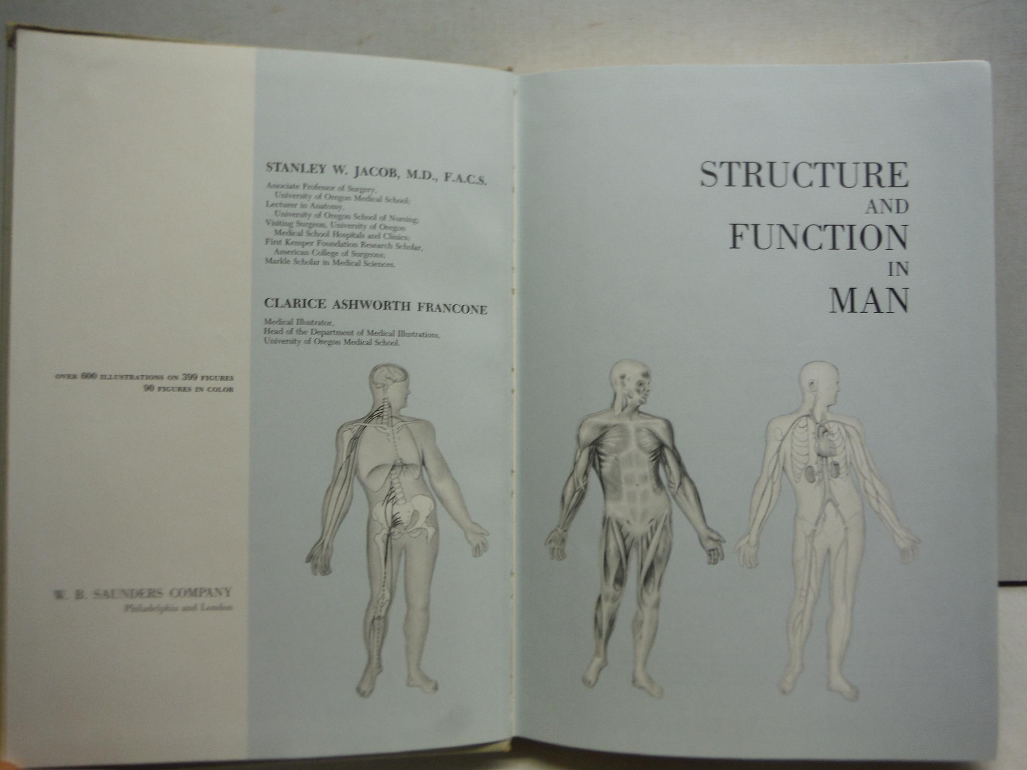 Image 1 of Structure and Function in Man