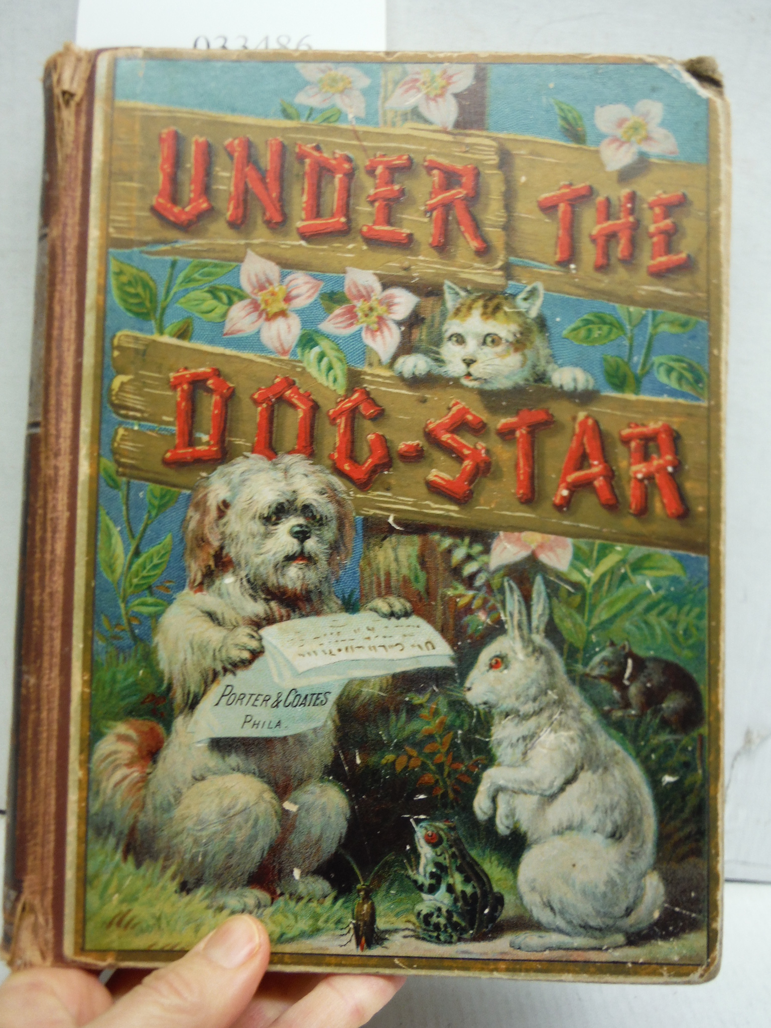 Under The Dog-Star
