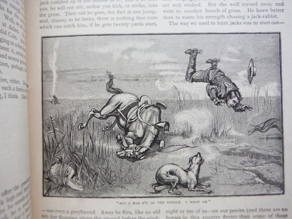 Image 2 of St. Nicholas Illustrated Magazine Volume VII - Part I (November 1879 - May 1880)