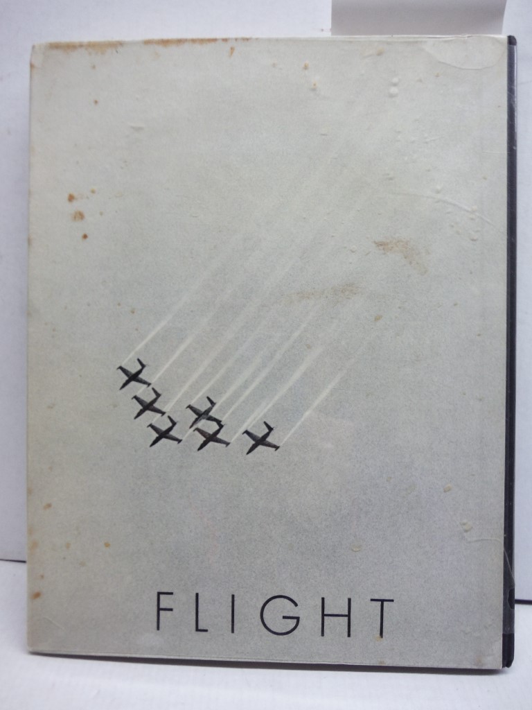 Image 3 of Flight 
