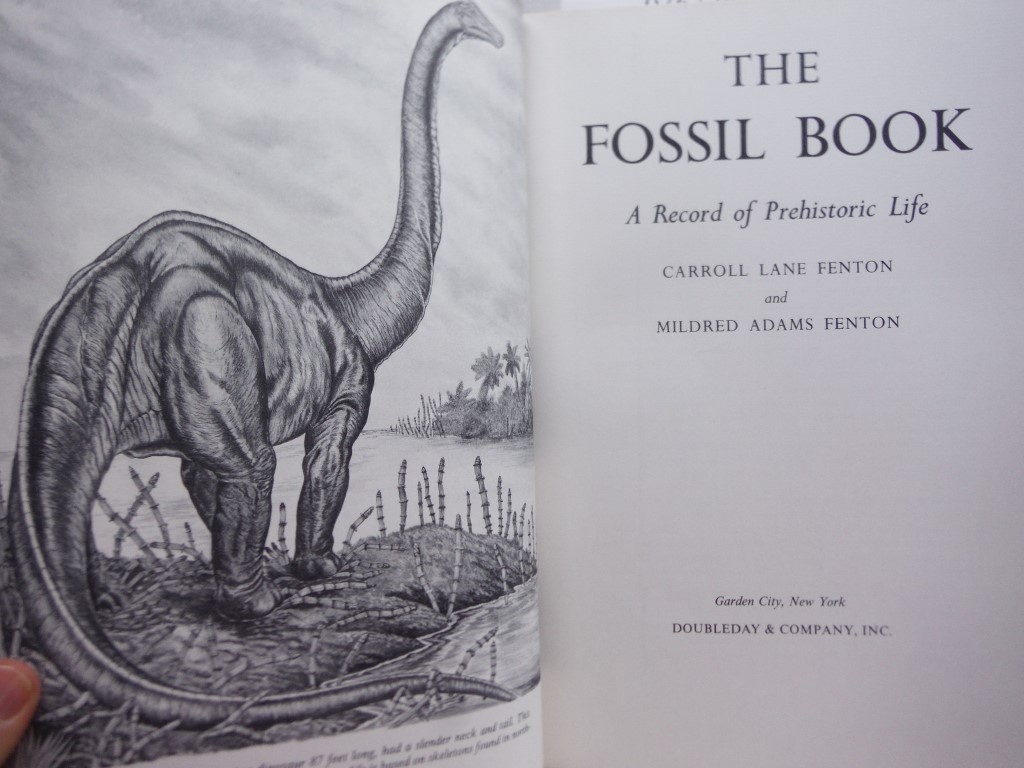 Image 1 of The Fossil Book: A Record of Prehistoric Life