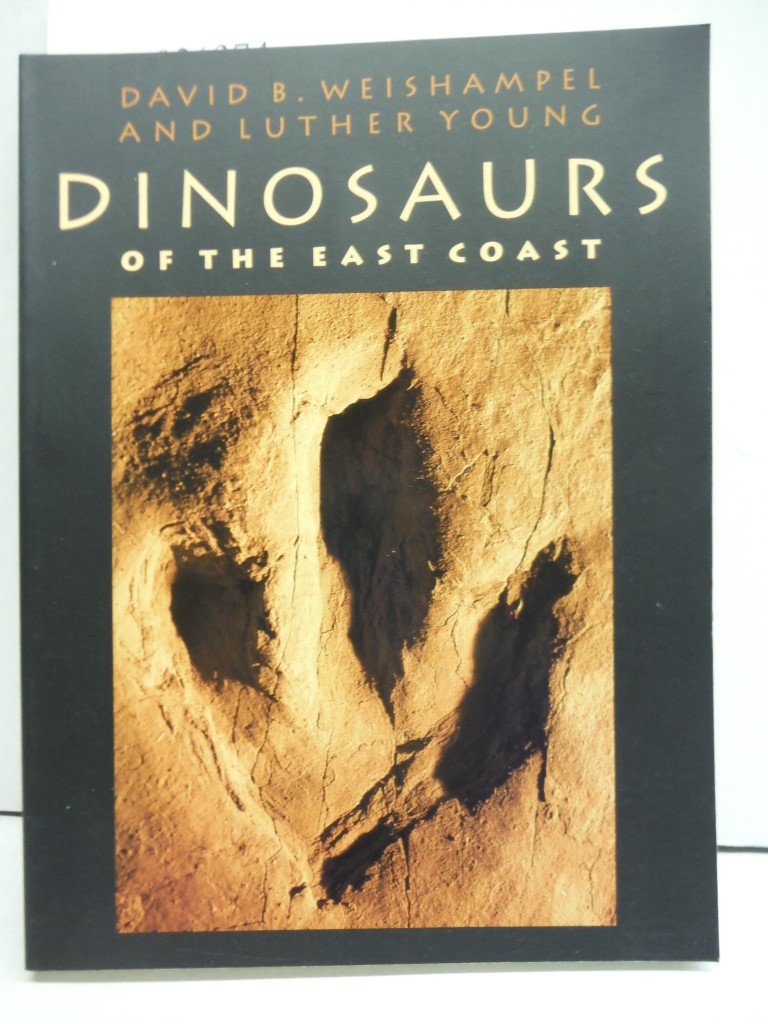 Image 0 of Dinosaurs of the East Coast