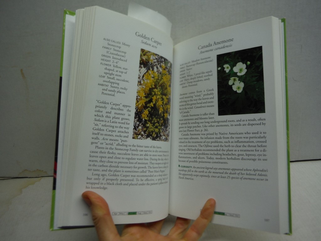 Image 1 of Door County's Wildflowers A Field Guide For The Curious