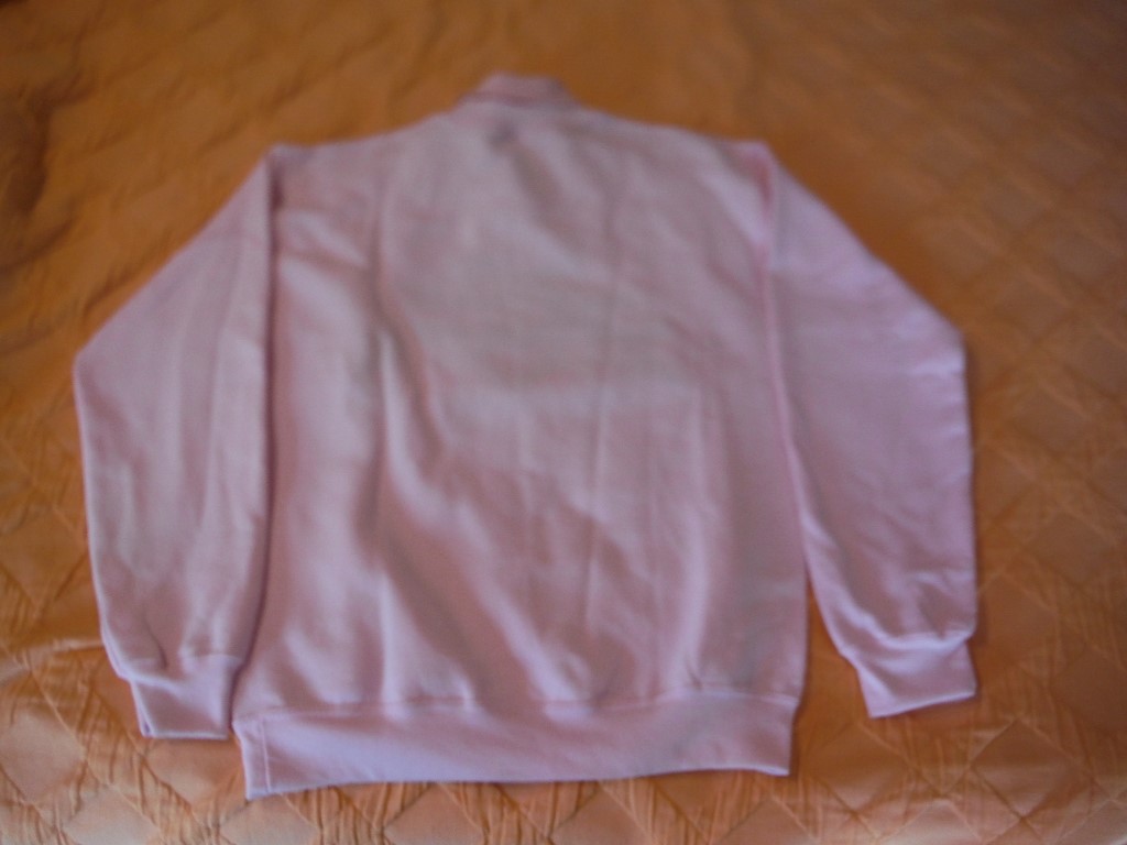 Image 2 of Women's embroidered sweatshirt