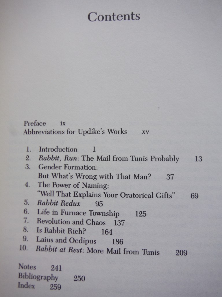 Image 1 of Updike and the Patriarchal Dilemma: Masculinity in the Rabbit Novels