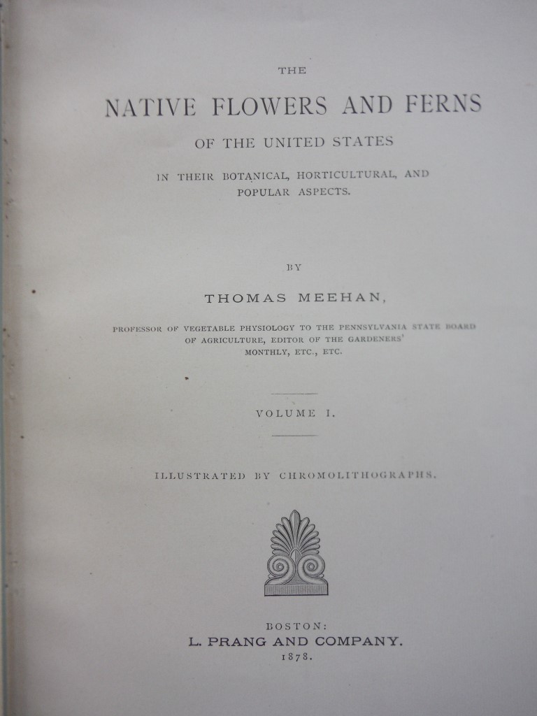 Image 2 of The Native Flowers and Ferns of the United States, 4 Volumes