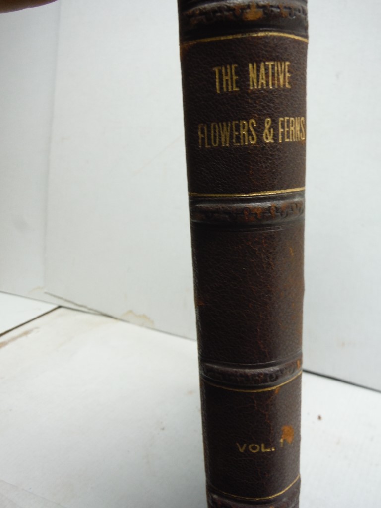 Image 4 of The Native Flowers and Ferns of the United States, 4 Volumes