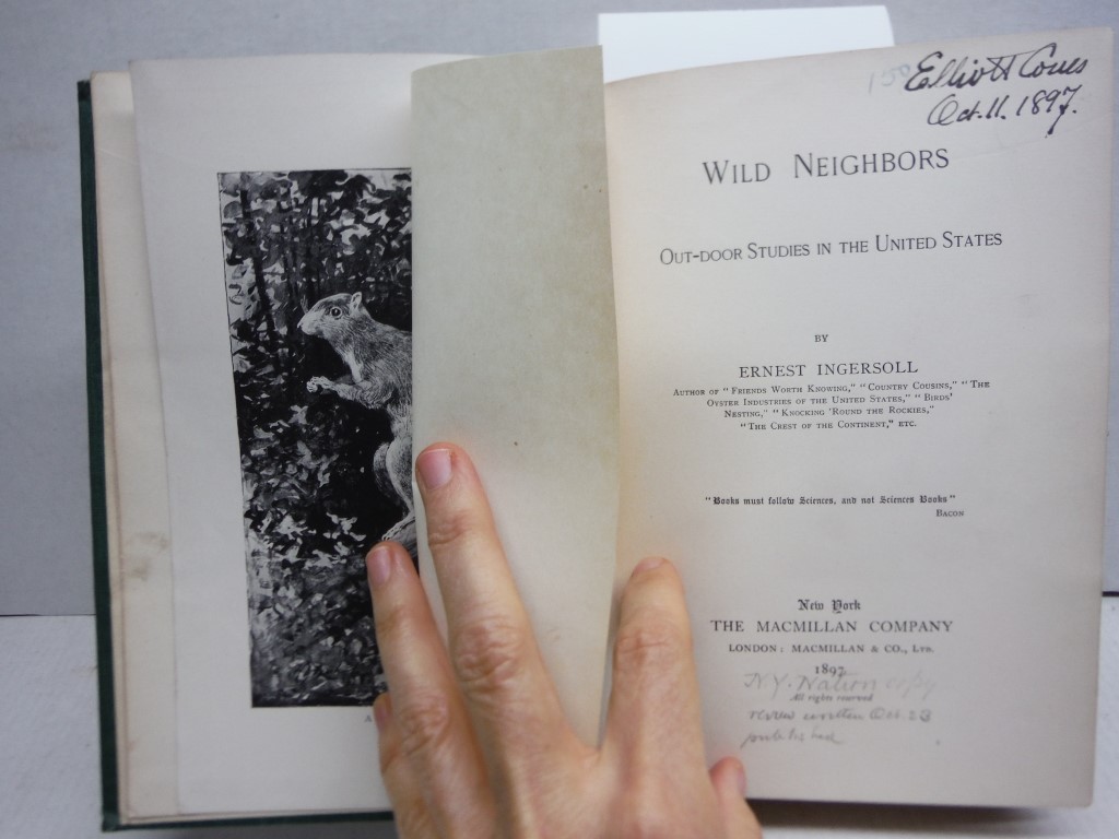Image 2 of Wild Neighbors: Outdoor Studies In The United States (1897)