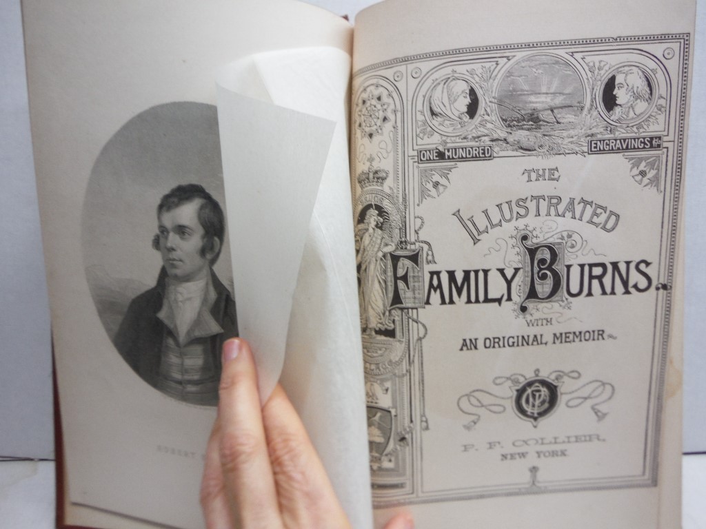 Image 1 of The Illustrated Family Burns with an Original Memoir [Cover Title: Poems of Robe