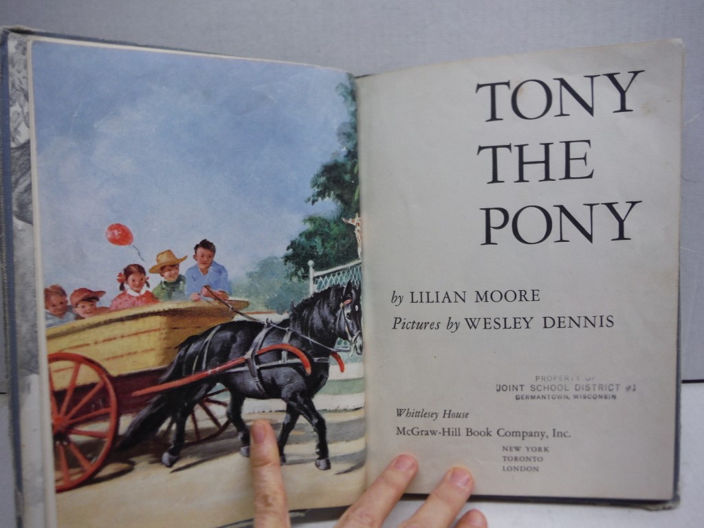 Image 2 of Tony the Pony
