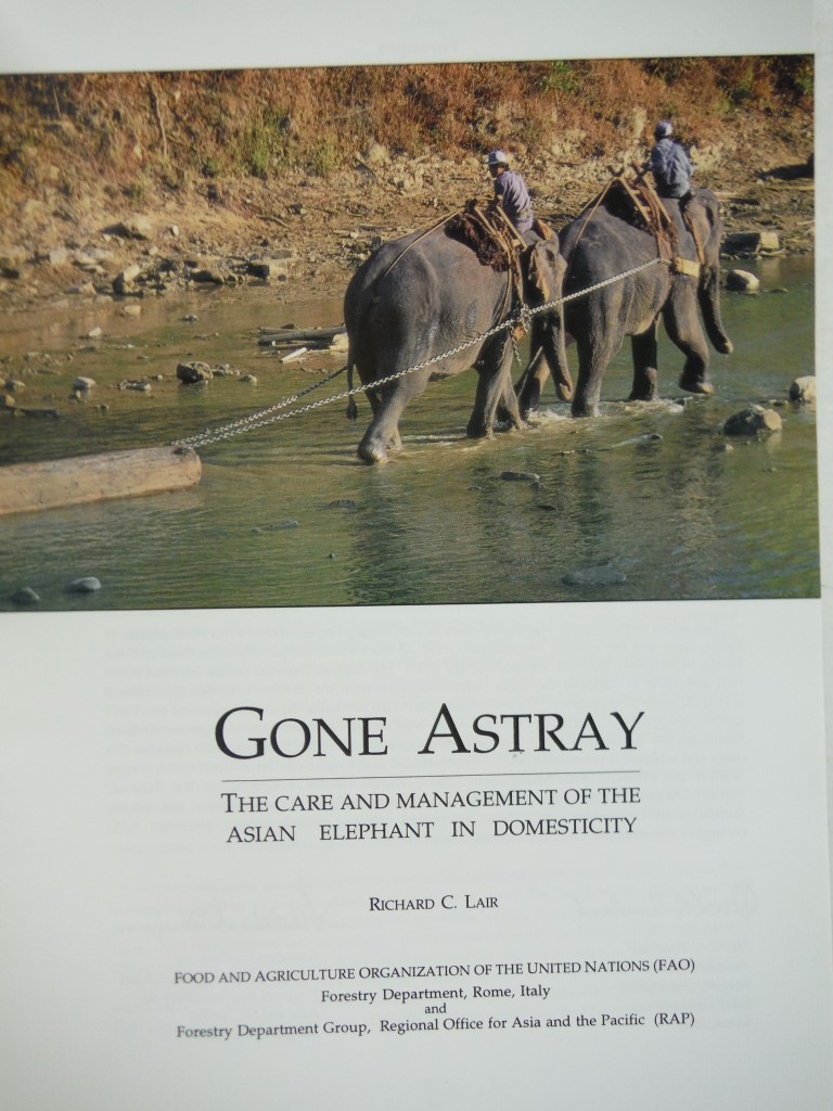 Image 1 of Gone Astray: The Care and Management of the Asian Elephant in Domesticity