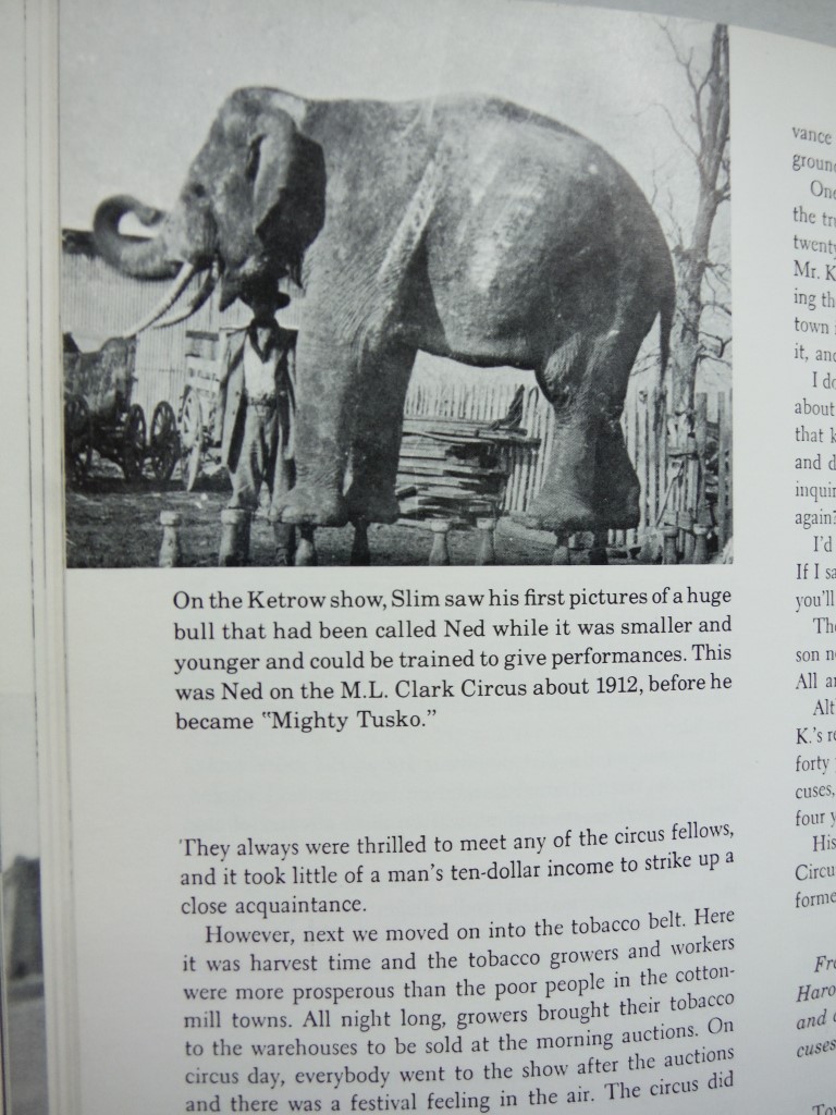 Image 3 of I Loved Rogues: The Life of an Elephant Tramp