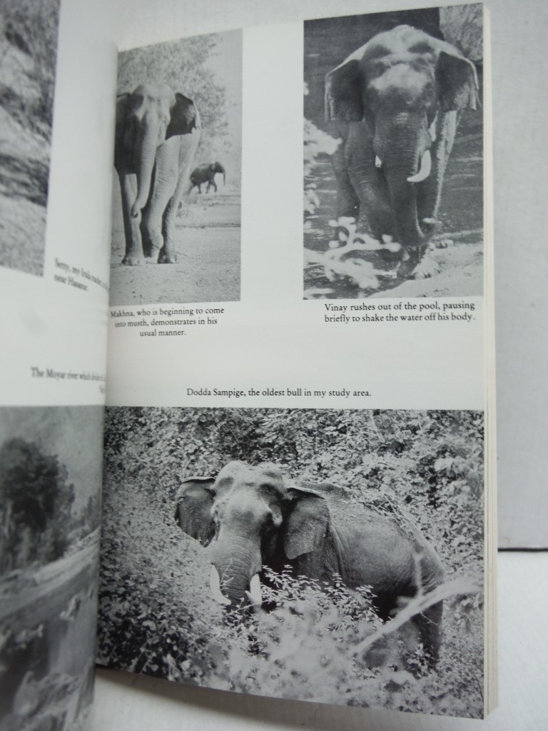 Image 3 of Elephant Days and Nights: Ten Years with the Indian Elephant