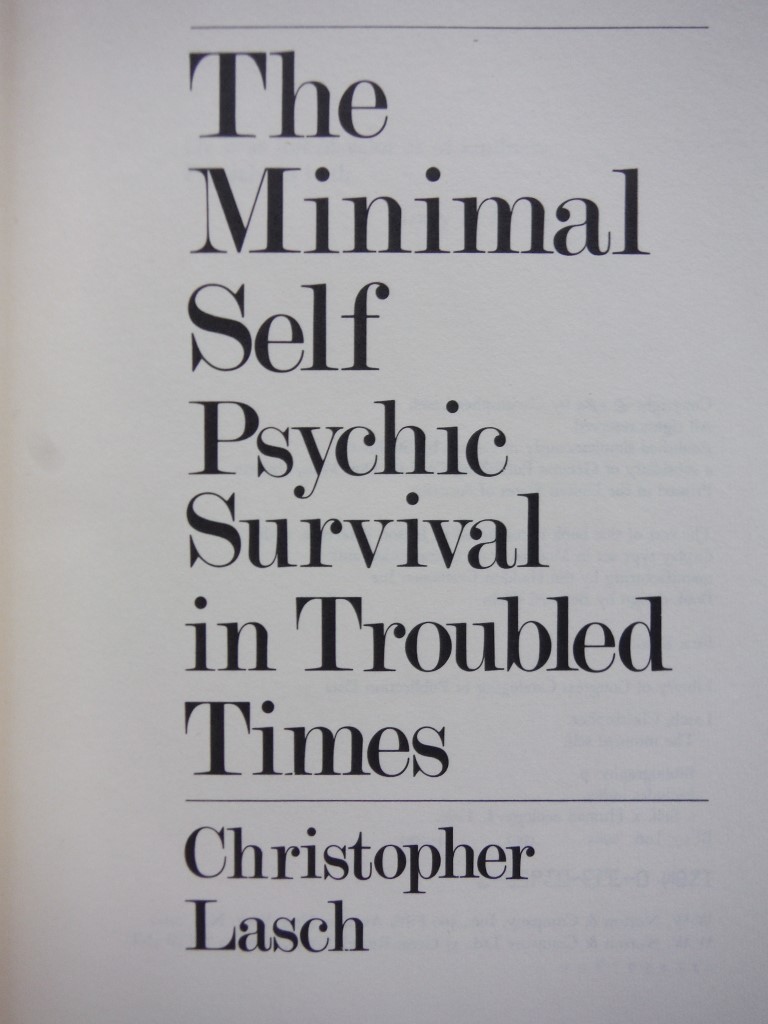 Image 1 of The Minimal Self: Psychic Survival in Troubled Times