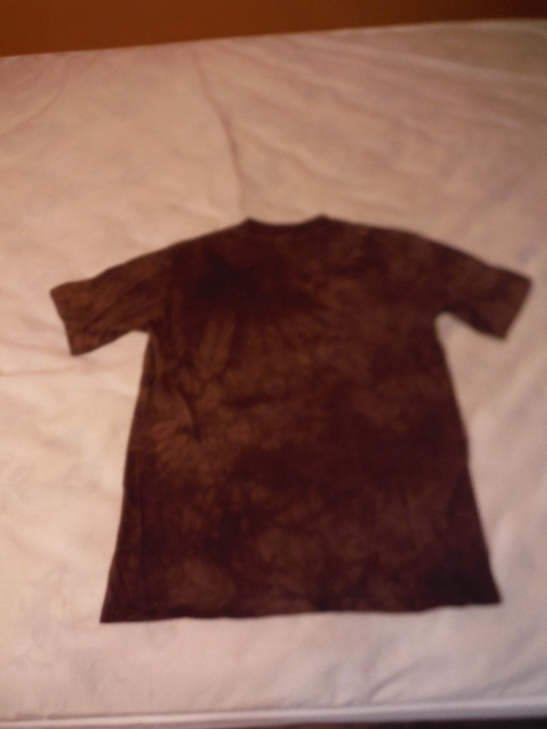 Image 1 of Chocolate Labrador t shirt, Child Large