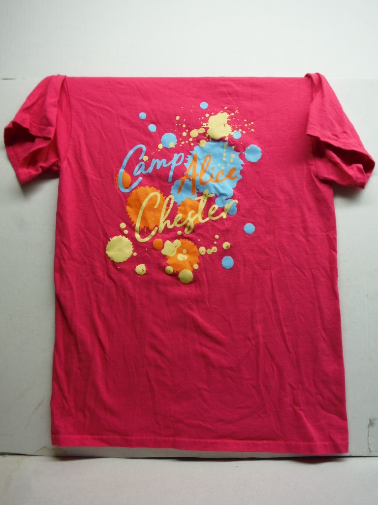 Image 3 of Pink Camp Alice Chester t shirt, women's size small