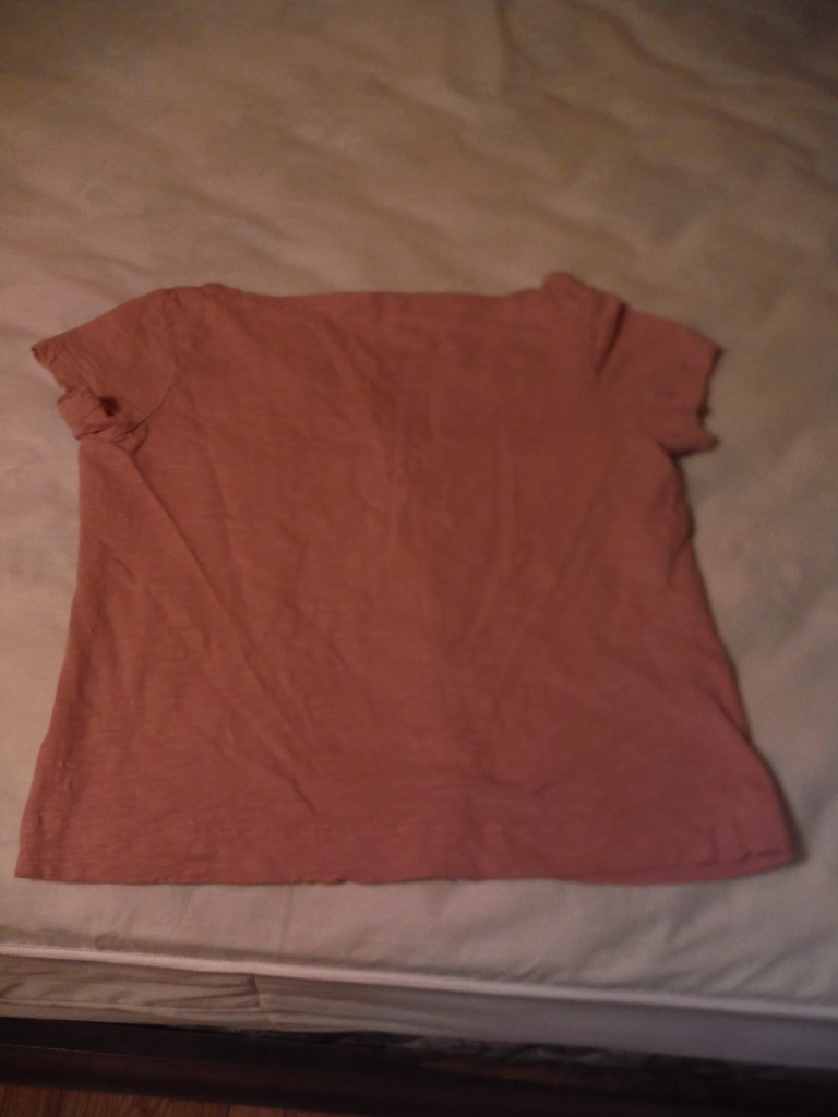 Image 2 of Pink Territory Ahead Pleated Petite t shirt