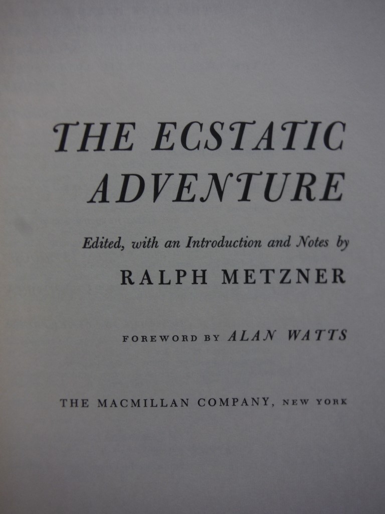 Image 2 of The Ecstatic Adventure