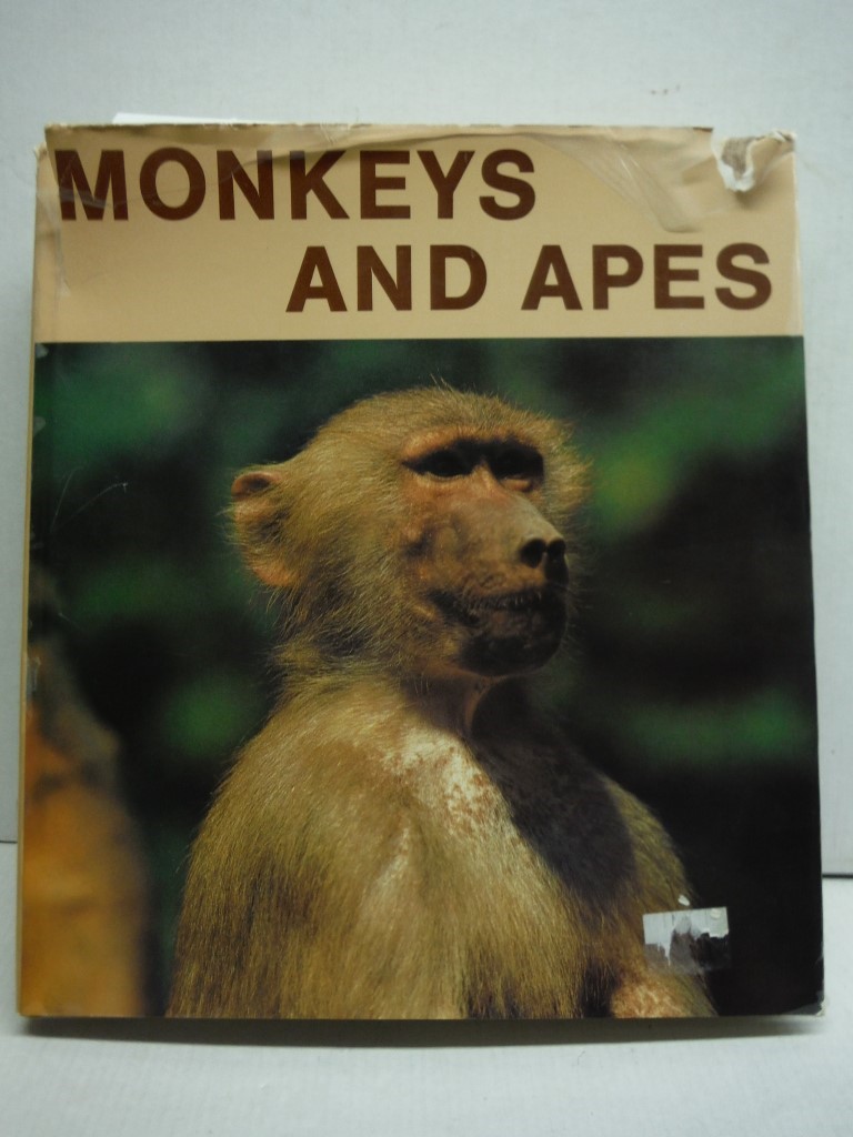 Image 0 of Monkeys and Apes