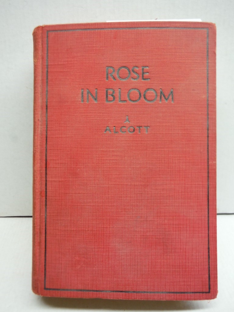 Image 0 of Rose in Bloom