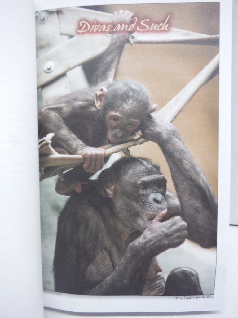 Image 2 of Bonobos: Encounters in Empathy