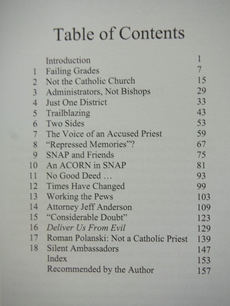 Image 1 of Double Standard: Abuse Scandals and the Attack on the Catholic Church