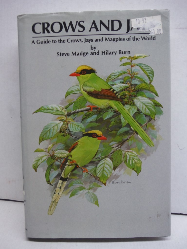 Crows and Jays: A Guide to the Crows, Jays and Magpies of the World